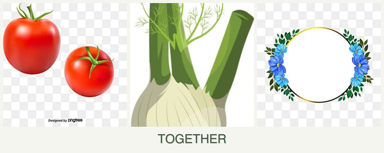 Can you plant tomatoes, fennel and zinnias together?