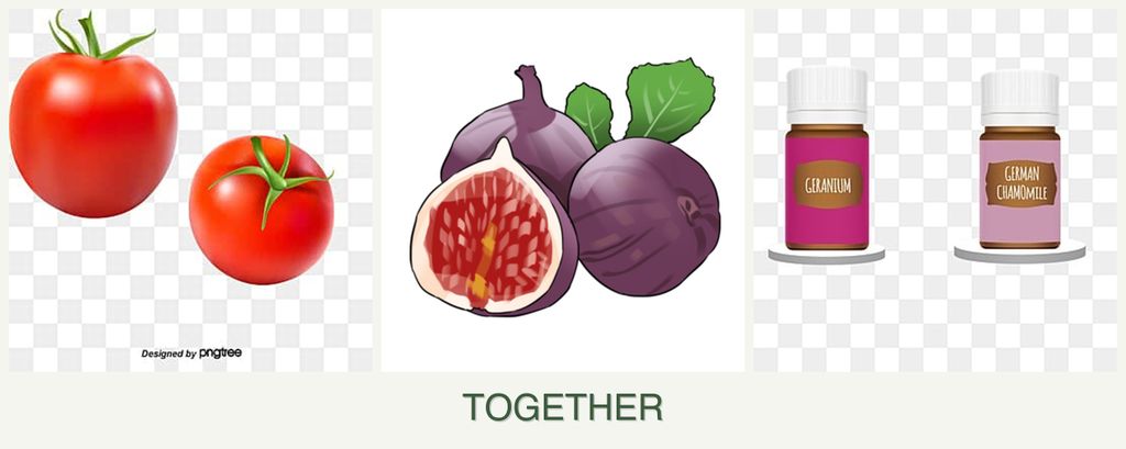 Can you plant tomatoes, figs and geraniums together?