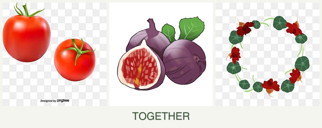 Can you plant tomatoes, figs and nasturtiums together?