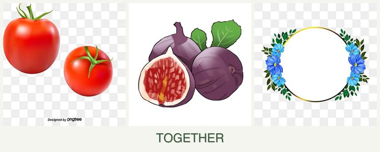 Can you plant tomatoes, figs and zinnias together?