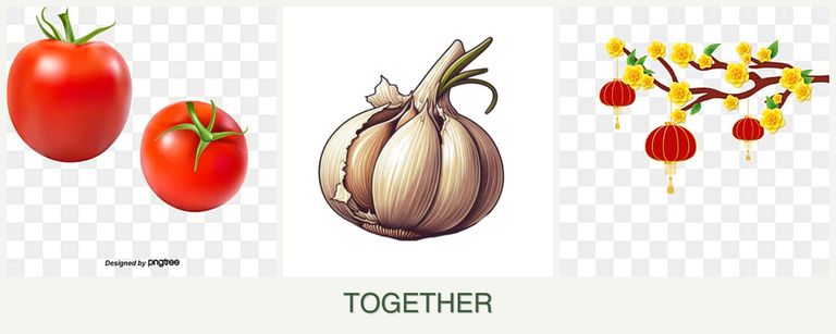 Can you plant tomatoes, garlic and apricots together?