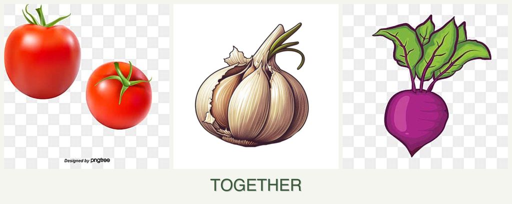 Can you plant tomatoes, garlic and beets together?