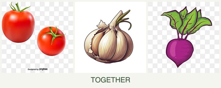 Can you plant tomatoes, garlic and beets together?