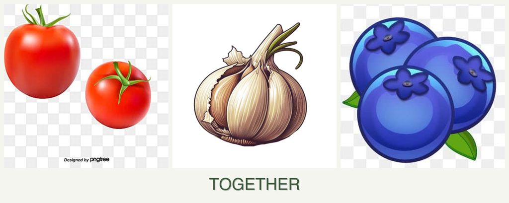 Can you plant tomatoes, garlic and blueberries together?