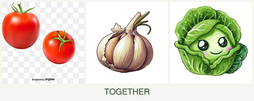 Can you plant tomatoes, garlic and cabbage together?