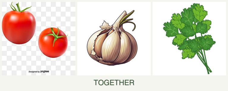 Can you plant tomatoes, garlic and cilantro together?