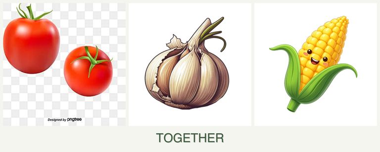 Can you plant tomatoes, garlic and corn together?