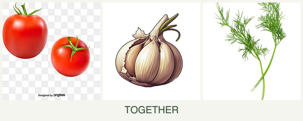 Can you plant tomatoes, garlic and dill together?