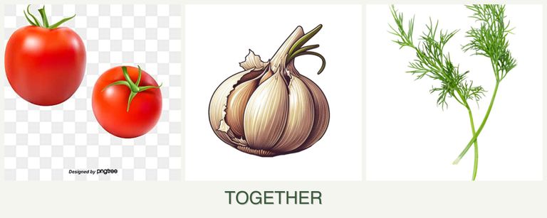 Can you plant tomatoes, garlic and dill together?