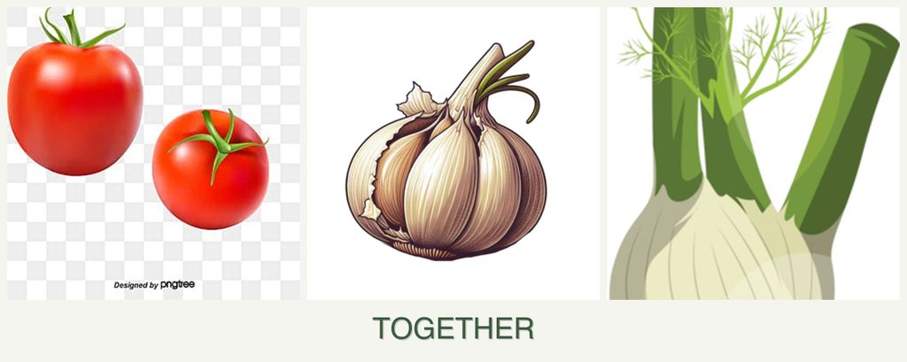 Can you plant tomatoes, garlic and fennel together?