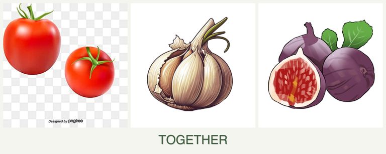 Can you plant tomatoes, garlic and figs together?