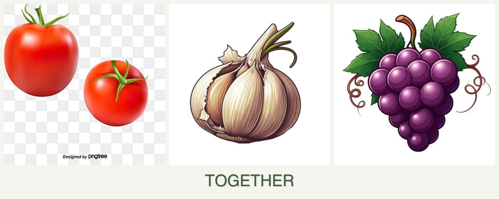 Can you plant tomatoes, garlic and grapes together?