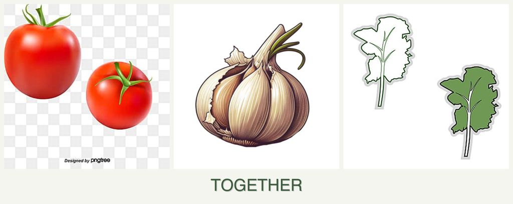 Can you plant tomatoes, garlic and kale together?