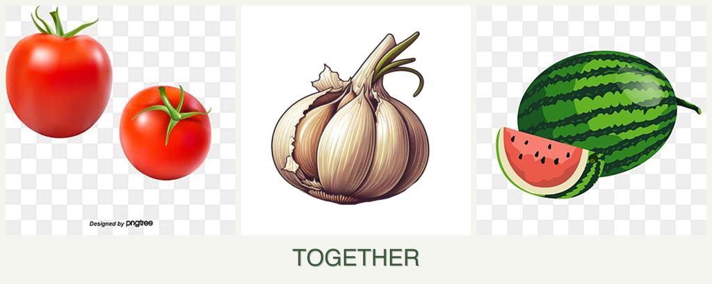 Can you plant tomatoes, garlic and melons together?
