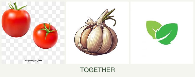 Can you plant tomatoes, garlic and mint together?