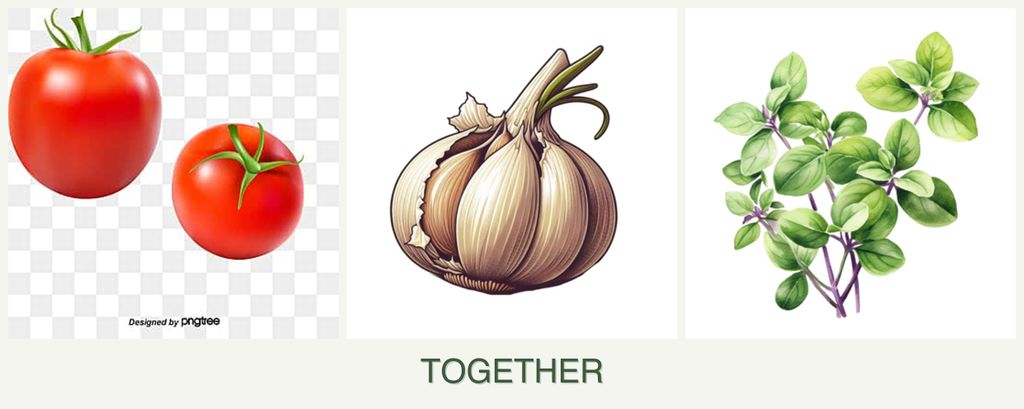Can you plant tomatoes, garlic and oregano together?