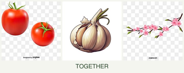 Can you plant tomatoes, garlic and peaches together?