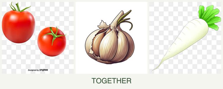 Can you plant tomatoes, garlic and radishes together?