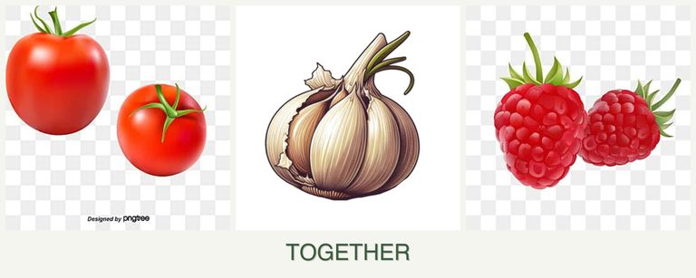 Can you plant tomatoes, garlic and raspberries together?