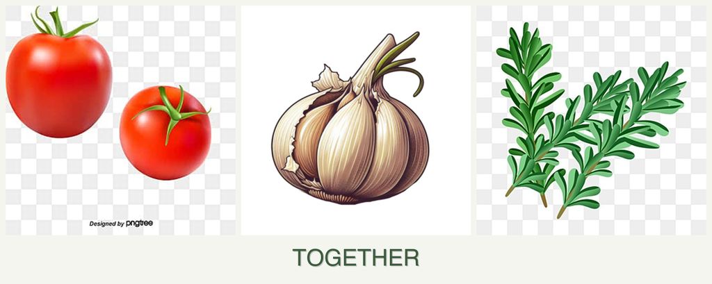 Can you plant tomatoes, garlic and rosemary together?