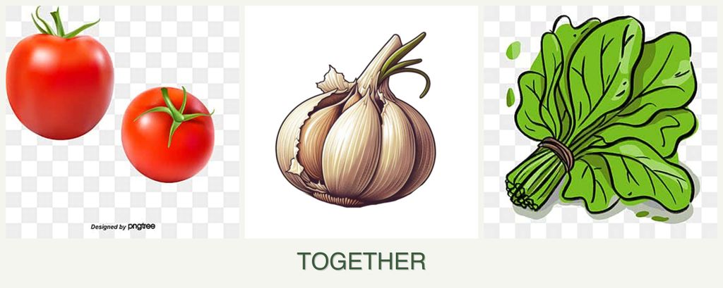 Can you plant tomatoes, garlic and spinach together?
