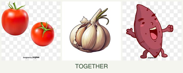 Can you plant tomatoes, garlic and sweet potatoes together?
