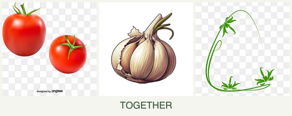 Can you plant tomatoes, garlic and tarragon together?