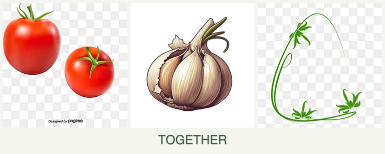 Can you plant tomatoes, garlic and tarragon together?
