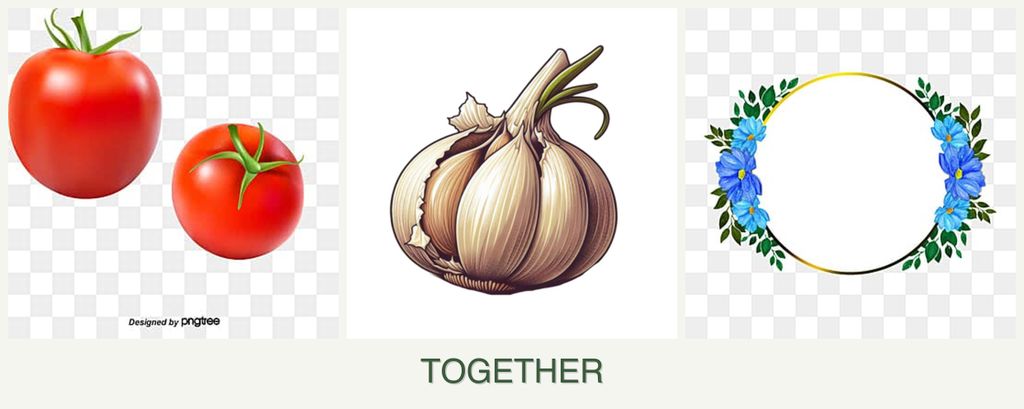 Can you plant tomatoes, garlic and zinnias together?