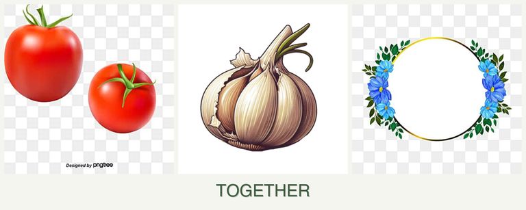 Can you plant tomatoes, garlic and zinnias together?