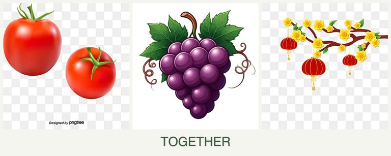 Can you plant tomatoes, grapes and apricots together?