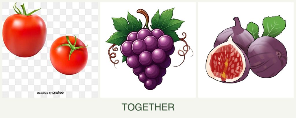 Can you plant tomatoes, grapes and figs together?