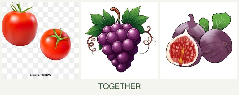 Can you plant tomatoes, grapes and figs together?