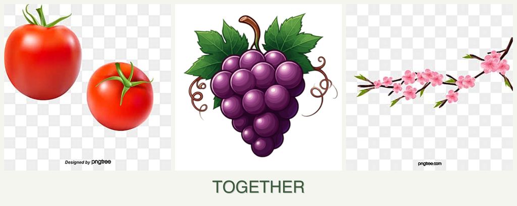 Can you plant tomatoes, grapes and peaches together?