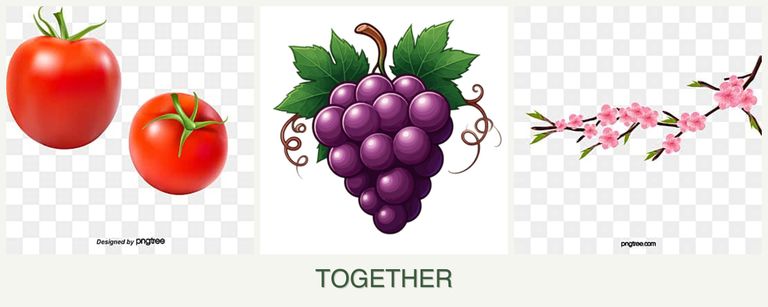 Can you plant tomatoes, grapes and peaches together?