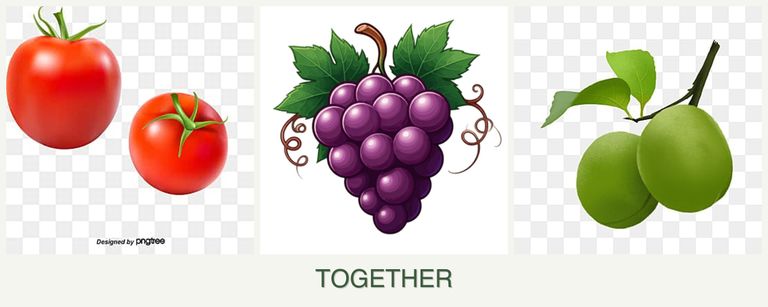 Can you plant tomatoes, grapes and plums together?