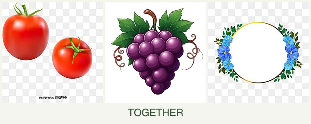 Can you plant tomatoes, grapes and zinnias together?