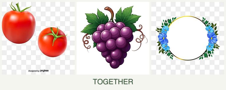 Can you plant tomatoes, grapes and zinnias together?