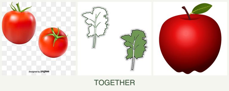 Can you plant tomatoes, kale and apples together?