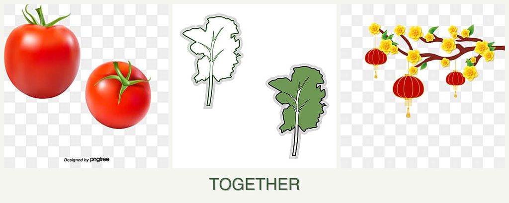 Can you plant tomatoes, kale and apricots together?