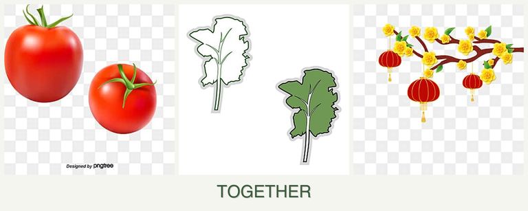 Can you plant tomatoes, kale and apricots together?