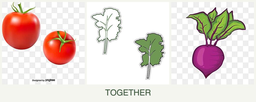 Can you plant tomatoes, kale and beets together?