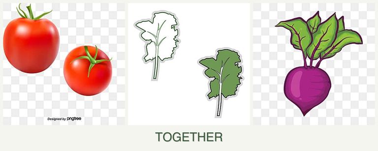 Can you plant tomatoes, kale and beets together?