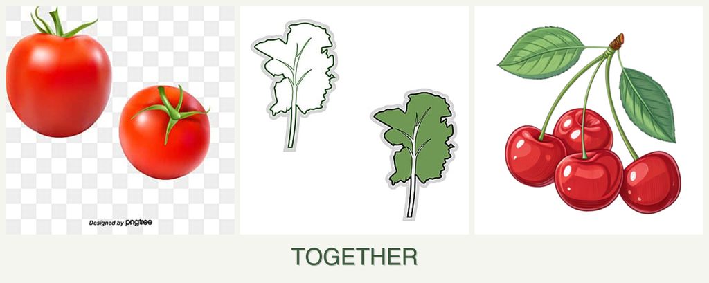 Can you plant tomatoes, kale and cherries together?