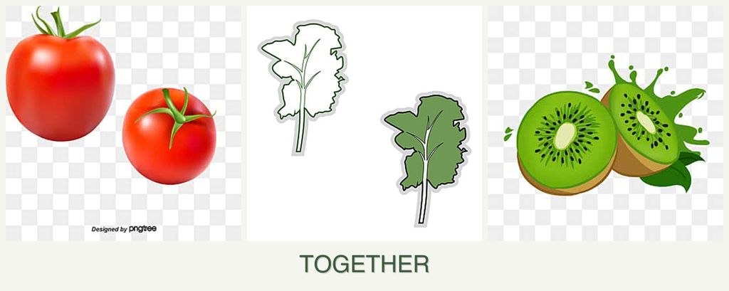 Can you plant tomatoes, kale and kiwi together?