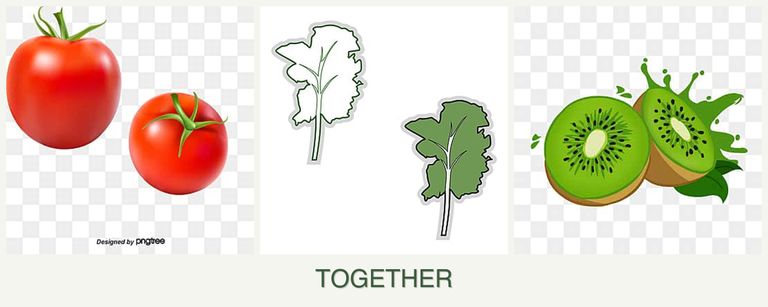 Can you plant tomatoes, kale and kiwi together?
