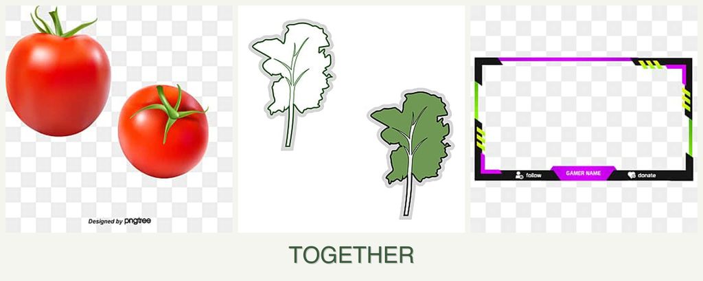 Can you plant tomatoes, kale and limes together?