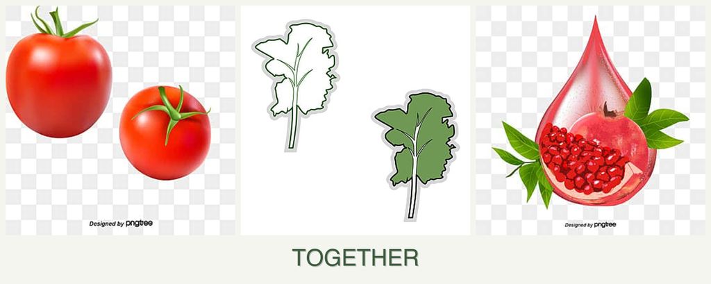 Can you plant tomatoes, kale and pomegranates together?