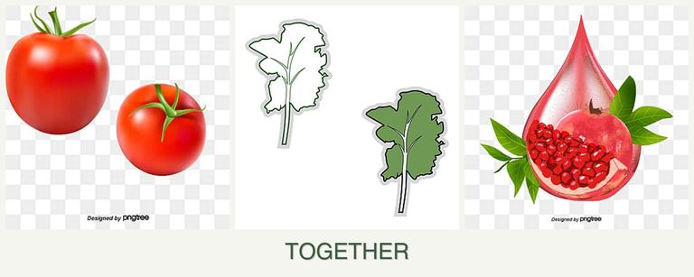 Can you plant tomatoes, kale and pomegranates together?