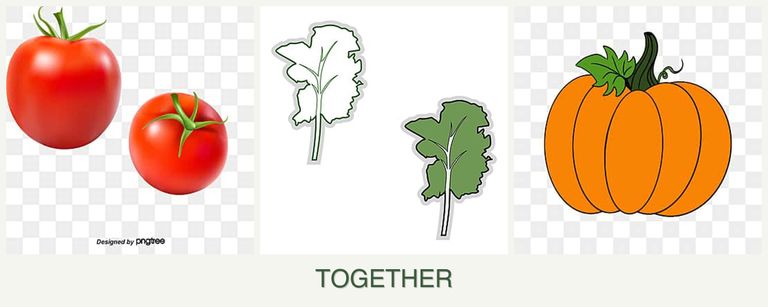 Can you plant tomatoes, kale and pumpkin together?
